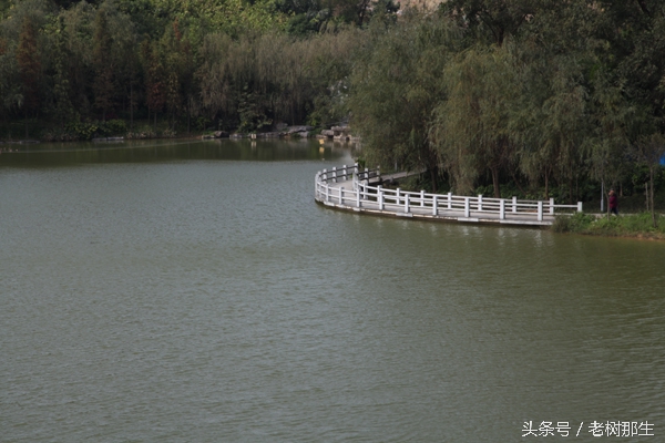 广西南宁狮山公园图,南宁狮山公园景观改造