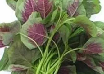 推荐成年人吃的经济实惠的钙片,6到12岁最好吃的钙片