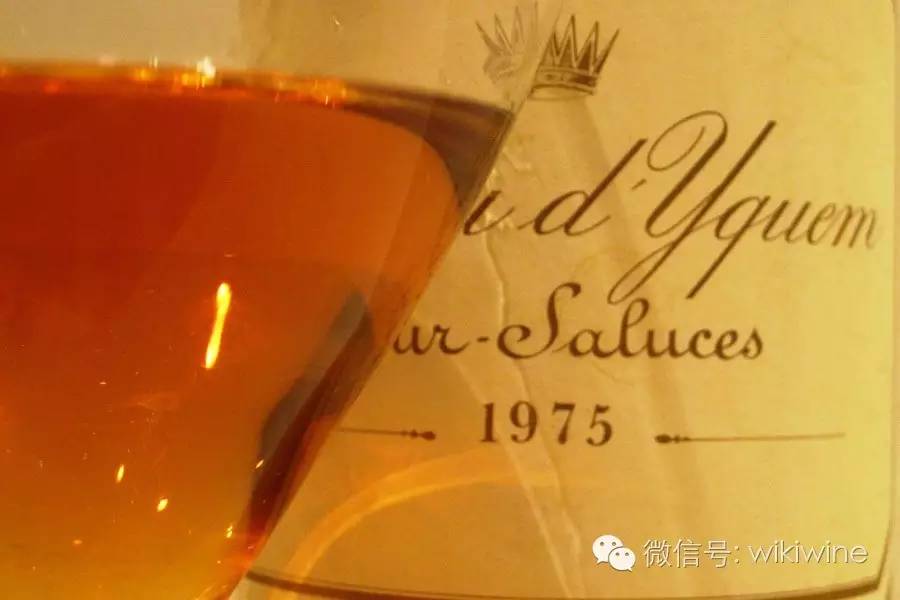 新手葡萄酒知识培训,新手入门喝什么葡萄酒