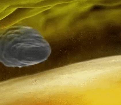 不容易怀孕的几个技巧,参考以下建议帮助提高受孕几率