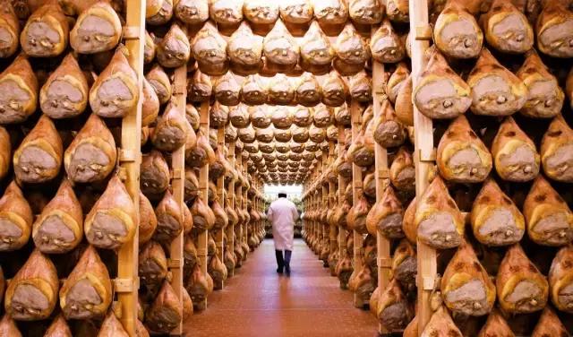 哪个地方有火腿 (有火腿的地方)