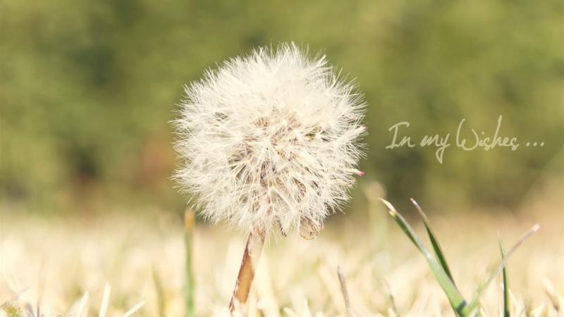 中药祛斑面膜偏方秘方,中药面膜美白保湿秘方