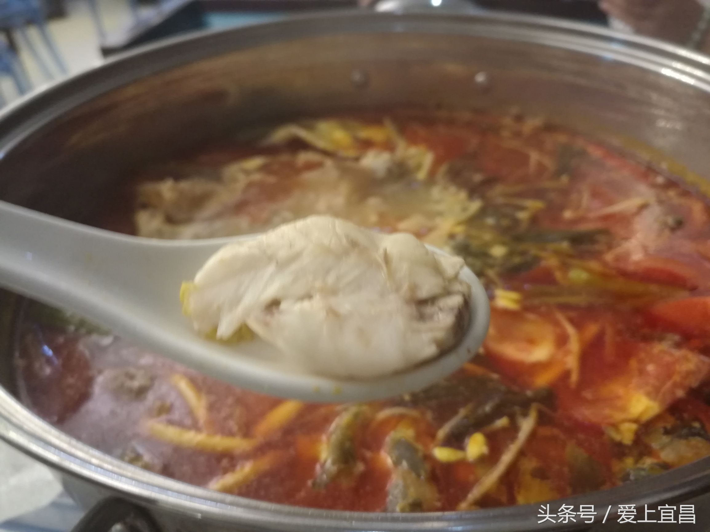 舌尖上的美食贵州凯里酸汤粉,舌尖上的酸汤鱼