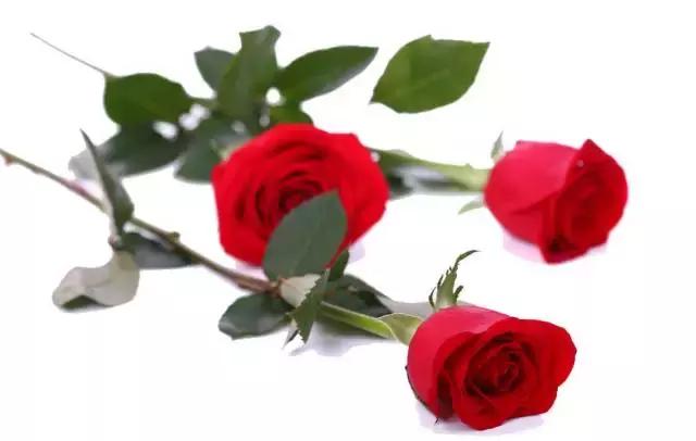 黑眼圈护肤的正确方法,黑眼圈和斑用什么护肤