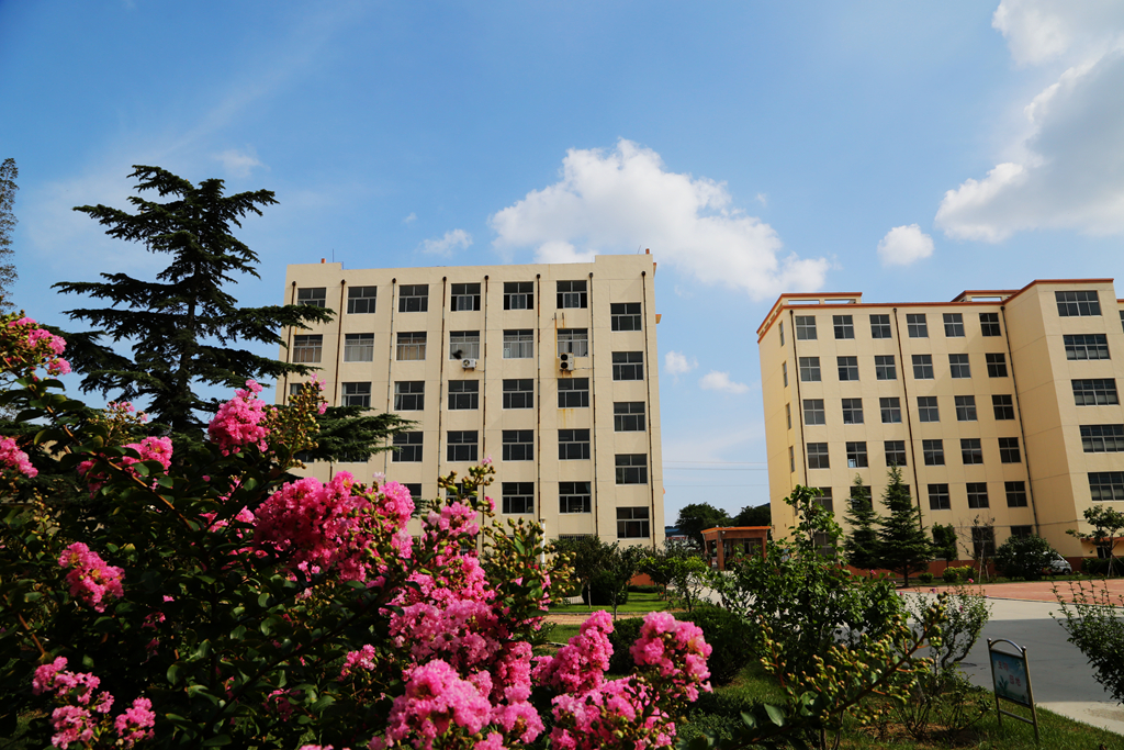山东省威海市文登区七里中学介绍,威海市文登区七里中学转第二中学