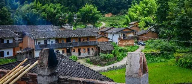 一封武平籍在厦外企的白领丽人的辞职信，看得我自信爆棚!