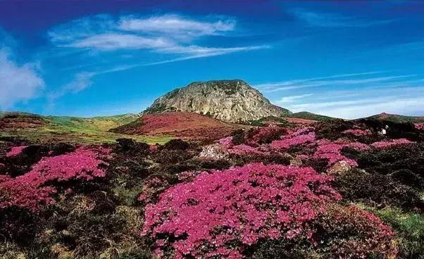 有钱，随性！出国旅游最舍得花钱的城市你知道吗？