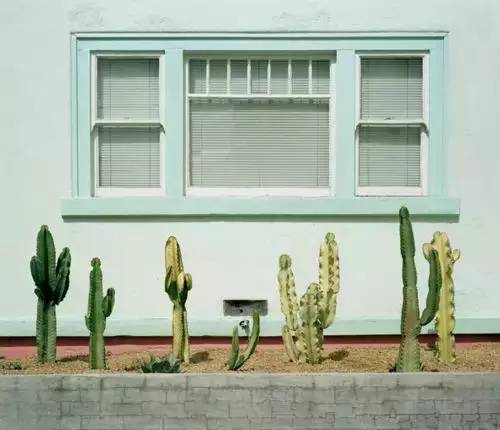 愿你能嫁给爱情天长地久,愿你嫁给爱情演唱