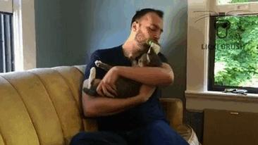 可以舔猫咪的神器,舌头仿真器