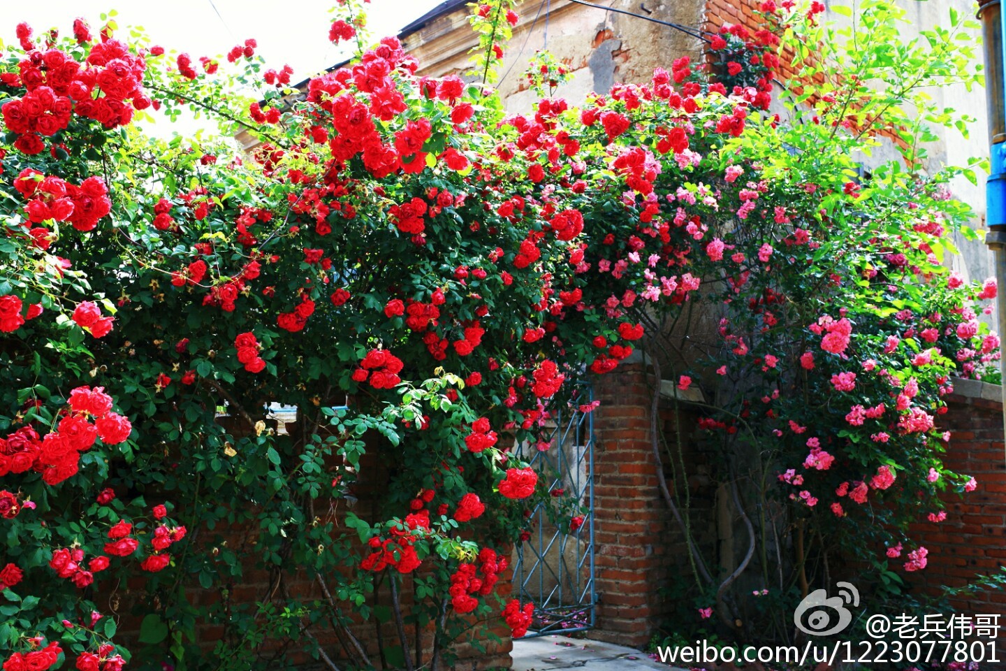 住下来，才知道旅顺口有多好