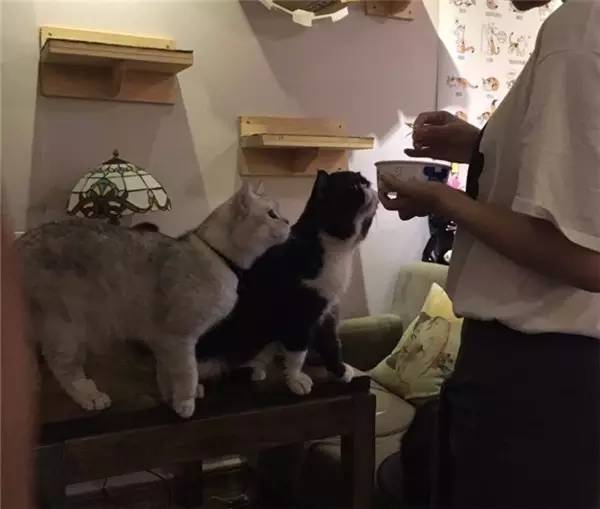 西安钟楼附近四星酒店推荐,西安钟楼附近高档饭店推荐