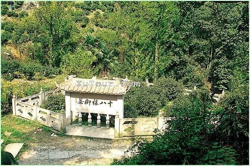 现代中国十大名茶排行榜,中国现代十大名茶排行榜