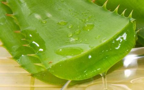 芦荟胶用完后痘痘好像更严重了,万能芦荟胶有效吗