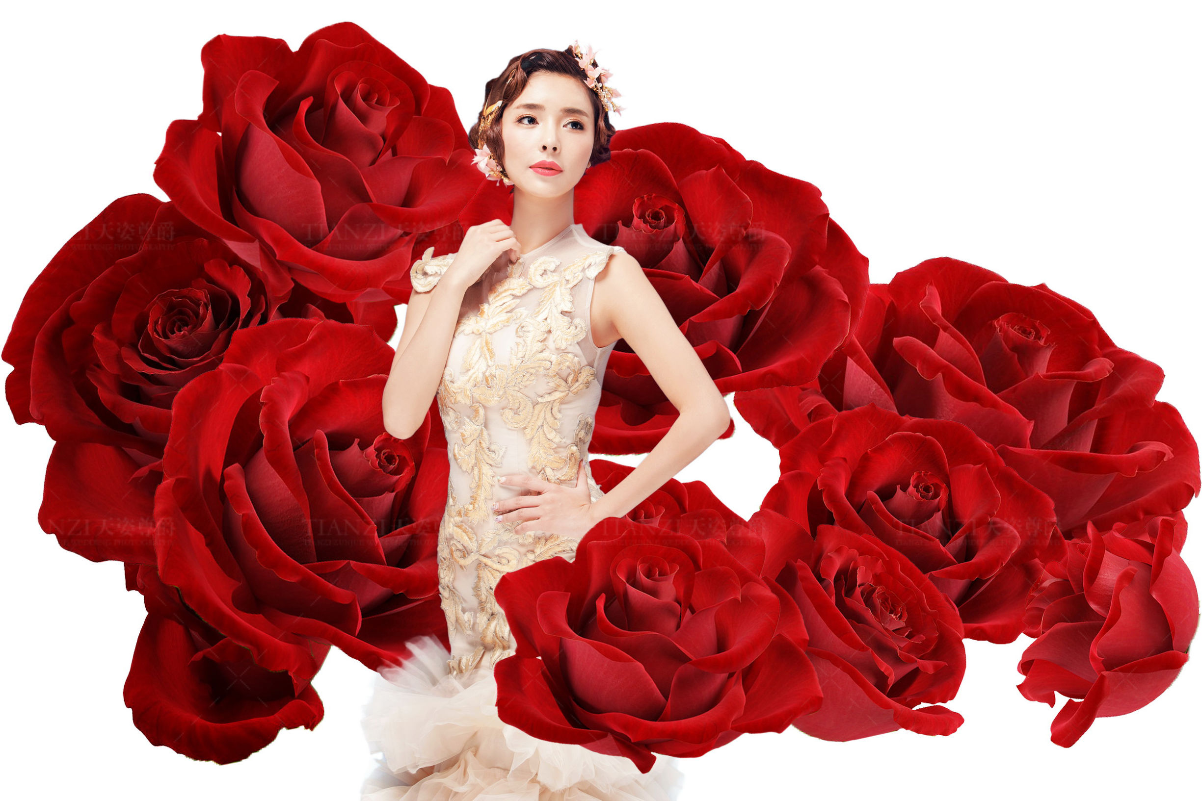 苏州天姿尊爵婚纱摄影有限公司,苏州市平江区天姿尊爵婚纱摄影店