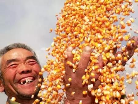 瀹跺湪杩滄柟鐨勫,瀹跺湪娴烽槼