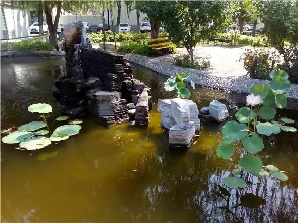 荣耀5.8英寸全面屏手机推荐,荣耀畅玩206.5英寸大屏