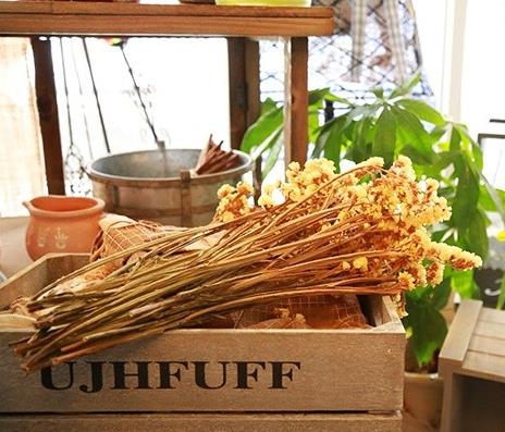 最爱文艺范|郑州最文艺的10家花店