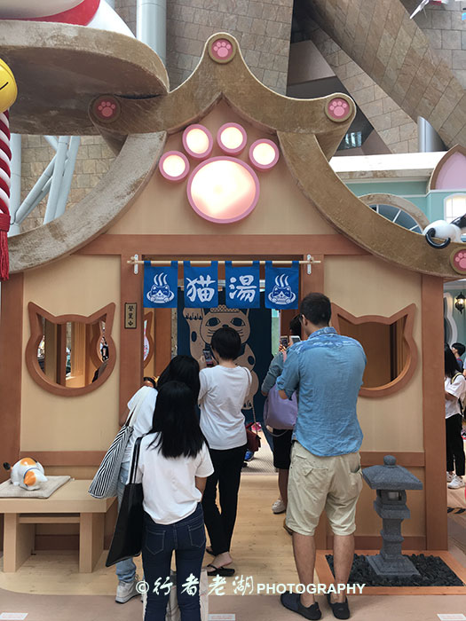 猫大咪可爱视频,小猫咪呆萌视频