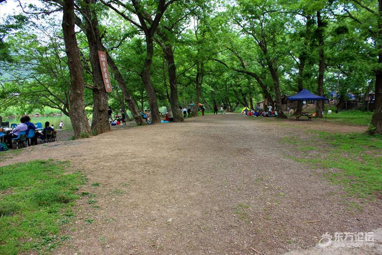 宁波最美风车公路,宁波最美公路