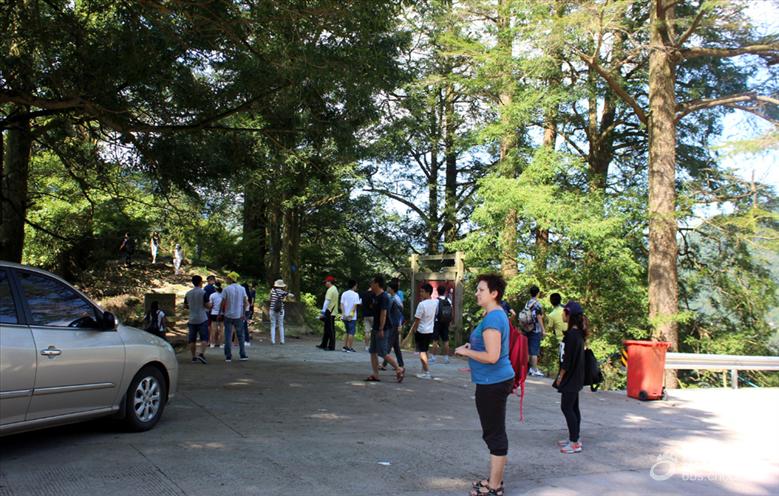 宁波最美风车公路,宁波最美公路