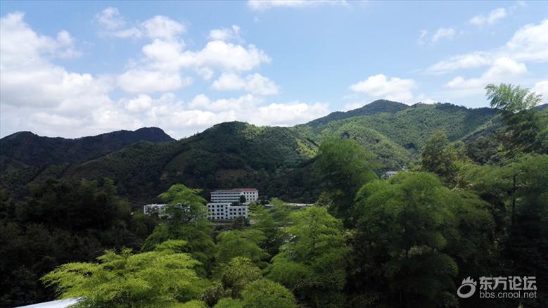 宁波最美风车公路,宁波最美公路