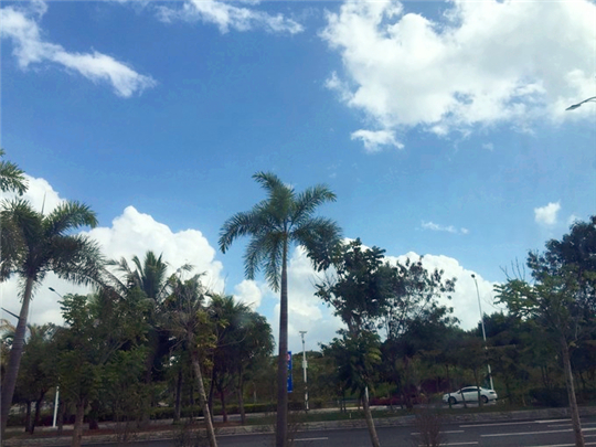 三亚旅行结婚纪念日,小两口结婚纪念日在家过二人世界