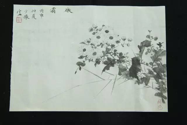 推荐当代优秀青年国画家赵少俨,赵少俨中国花鸟画技法