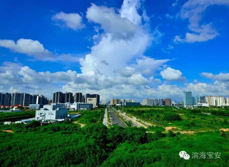 此处捕获潜力股一枚，宝安生命健康产业载体和政策空间大！