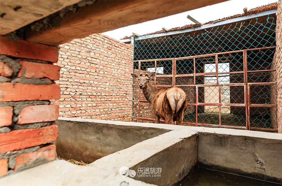 阿山鹿王文化苑门票,阿山娱乐推荐