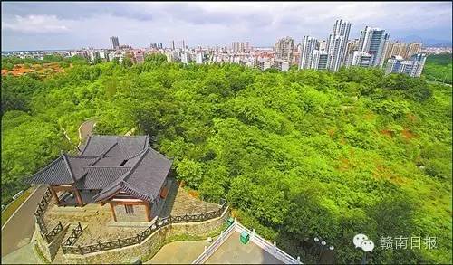 赣州要把这种颜色作为城市主色调！美丽、健康还能挣钱！