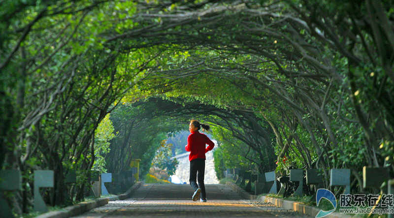 绿色人人共享邀你随手拍“烟台城市的一抹绿”
