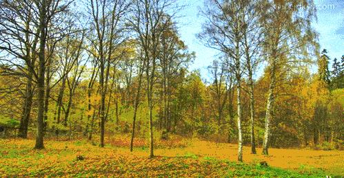 四维世界超立方体,四维世界亲身感觉