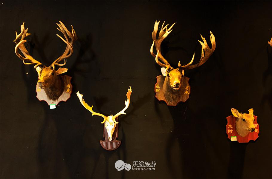 阿山鹿王文化苑门票,阿山娱乐推荐