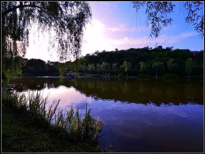 七夕脱单,七夕脱单攻略及答案