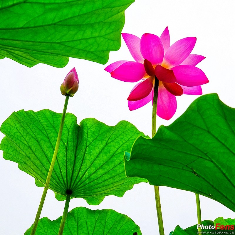 索尼黑卡长焦rx10m4技术参数,索尼超长焦黑卡rx10iii