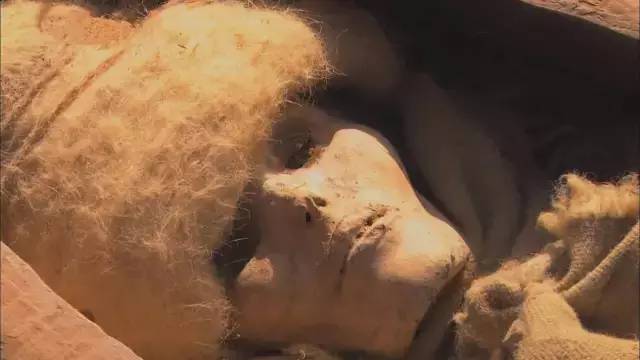 楼兰姑娘玫瑰玫瑰,楼兰姑娘合拍