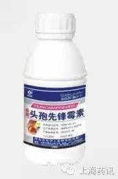 以前使用头孢、青霉素类药物过敏了,现在还能用吗?