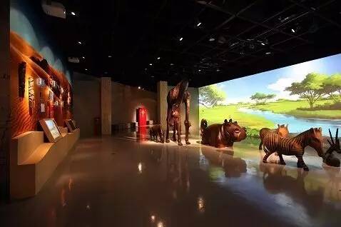 暑假地方推荐,放暑假适合上哪玩