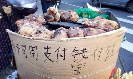 驾考先培训后付费模式,驾考新模式介绍