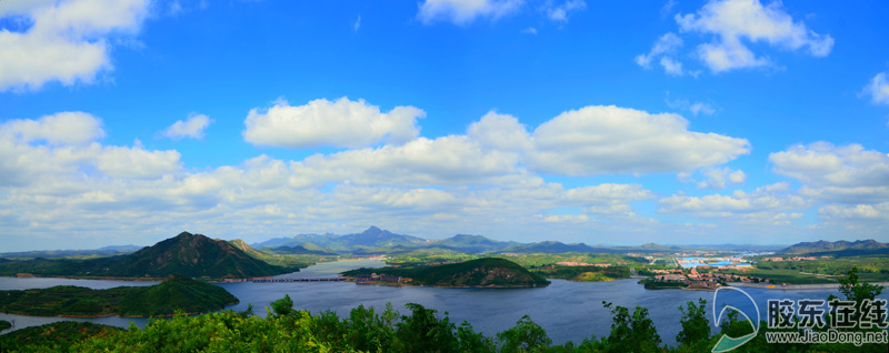 绿色人人共享邀你随手拍“烟台城市的一抹绿”