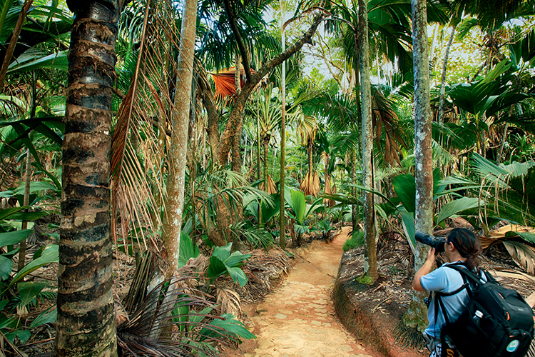 香港护照去塞舌尔免签吗,自由行塞舌尔旅游费用