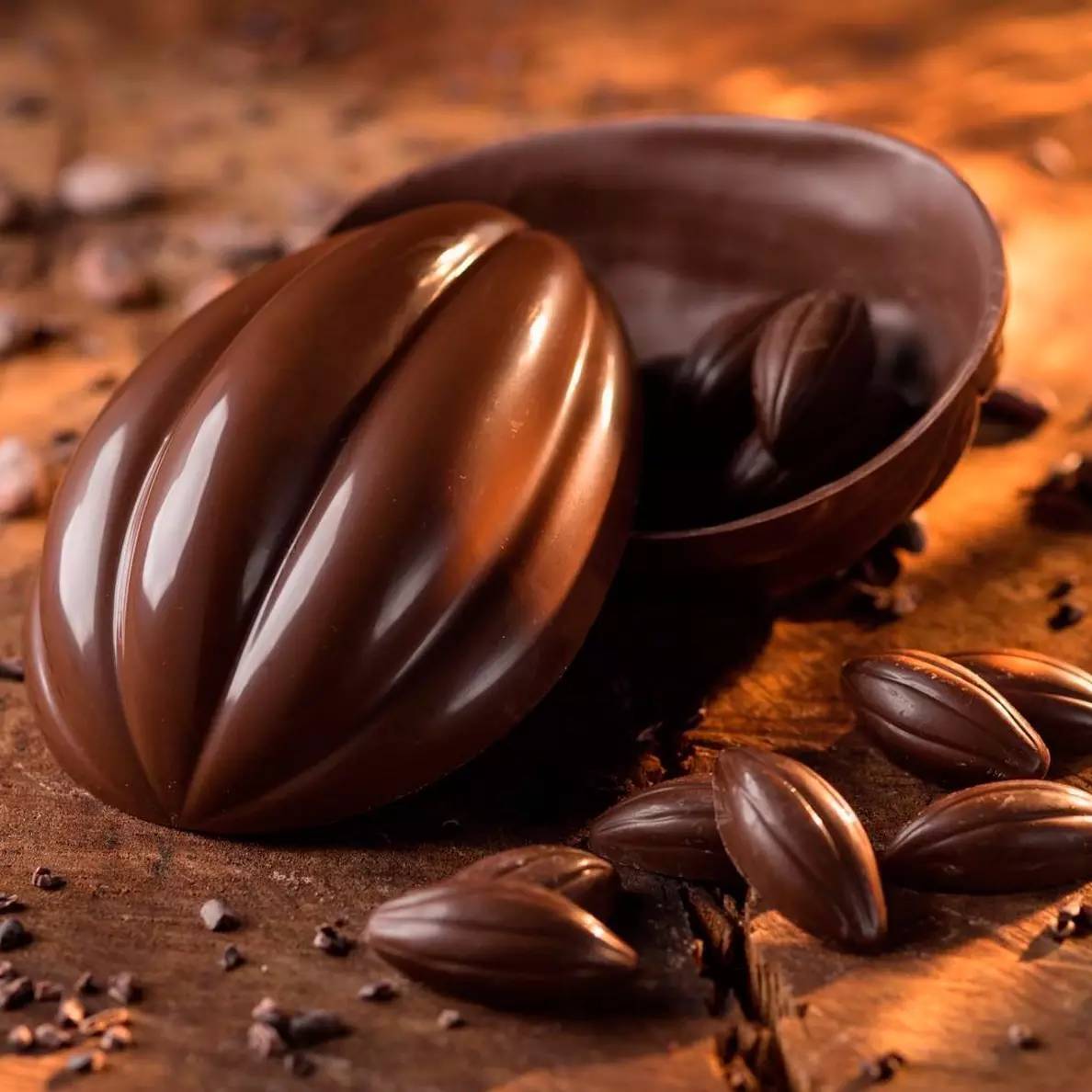 夏季奥运会和冬奥,里约热内卢夏季奥运