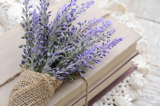 人文·疁风如何让我遇见你，在上海的旧书店里