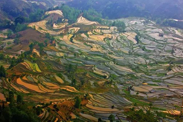 从郑州坐飞机去云南,从郑州坐火车去昆明多少钱