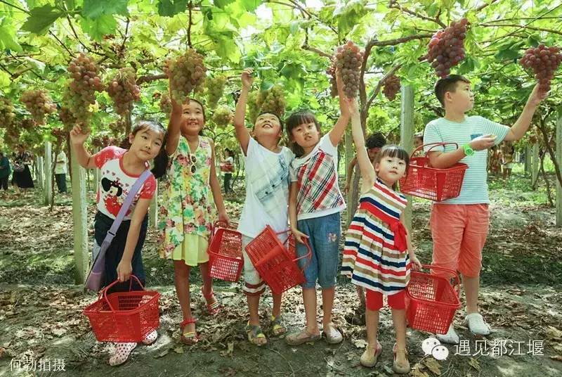 有人问你“都江堰怎么样？”把这篇微信分享给TA！