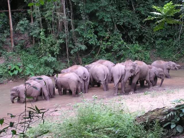从郑州坐飞机去云南,从郑州坐火车去昆明多少钱
