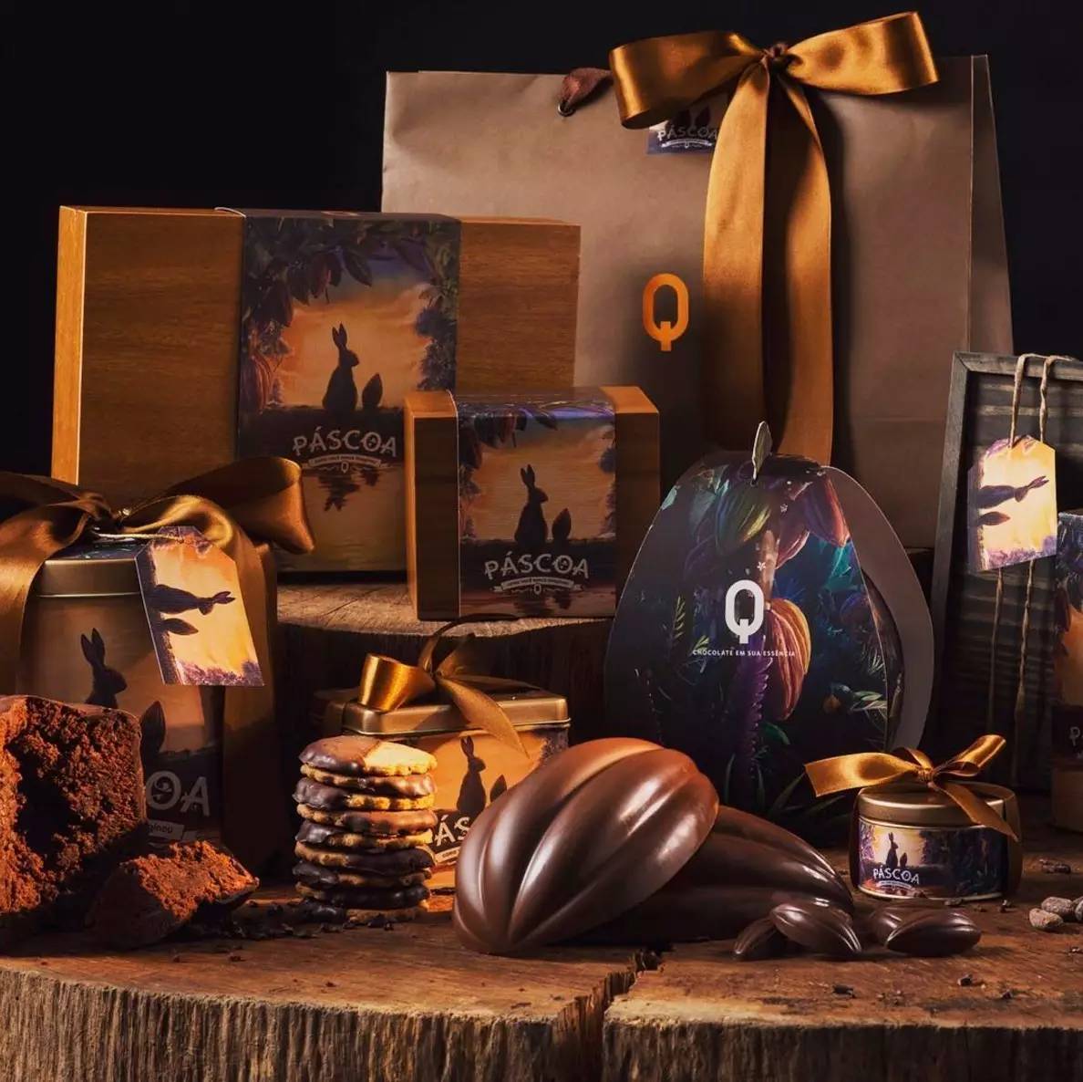 夏季奥运会和冬奥,里约热内卢夏季奥运