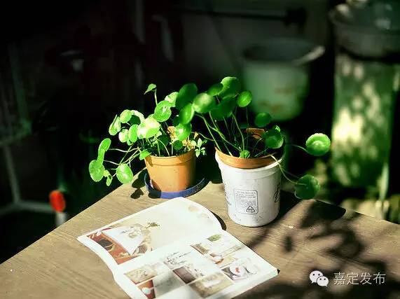 人文·疁风如何让我遇见你，在上海的旧书店里