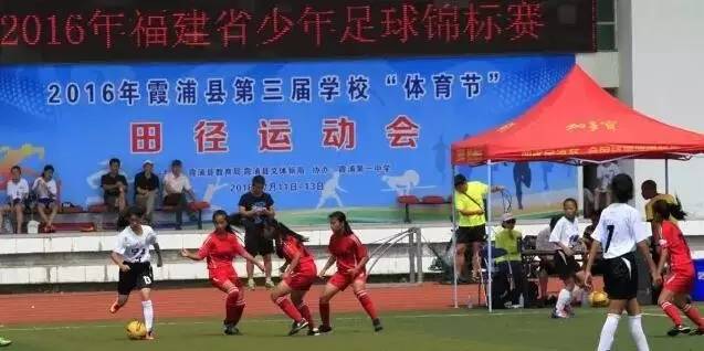 未来拯救国足的人会是福鼎人吗？