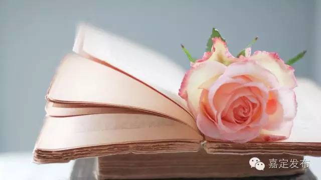 人文·疁风如何让我遇见你，在上海的旧书店里